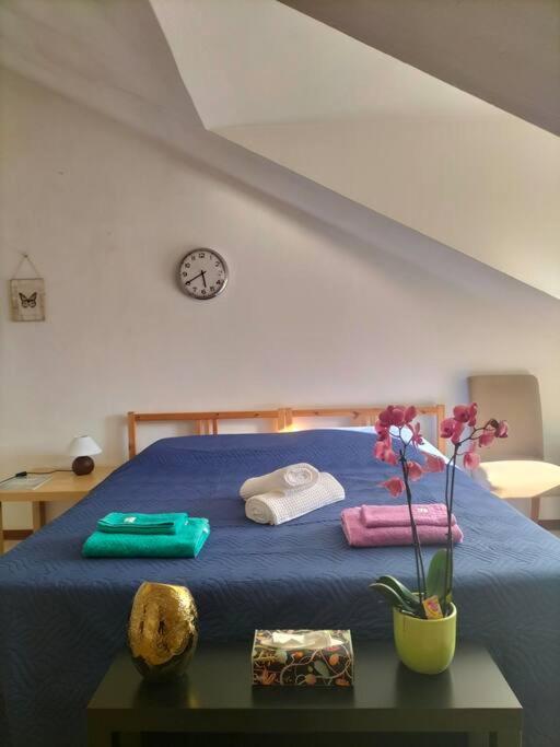 La Casa Di Marta - Ampia Ed Accogliente Mansarda In Piazza Statuto * Torino