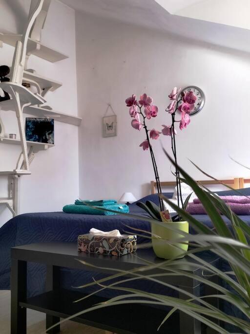 La Casa Di Marta - Ampia Ed Accogliente Mansarda In Piazza Statuto Appartamento *
